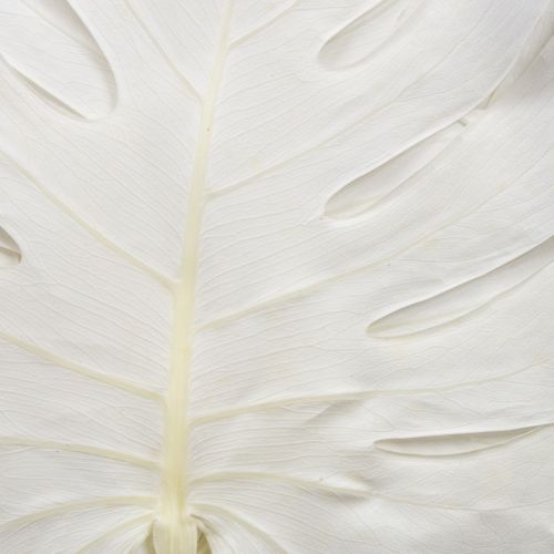 Product Monstera leaves bleached decorative window leaf H40cm 5 pcs