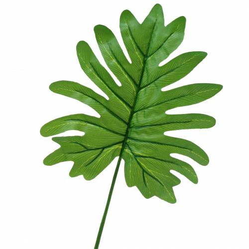 Monster leaf green 58cm 12pcs