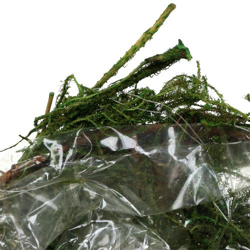 Floristik24 Moss-Bowl Green Ø11cm H6,5cm - 7,5cm 5pcs