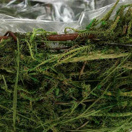 Floristik24 Moss-Bowl Green Ø11cm H6,5cm - 7,5cm 5pcs