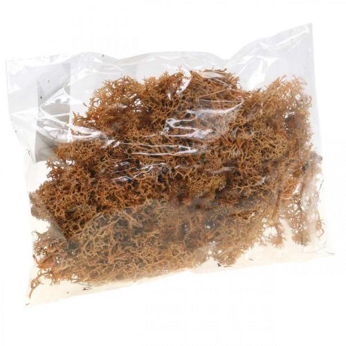 Product Decorative moss for handicrafts Orange colored natural moss preserved 40g