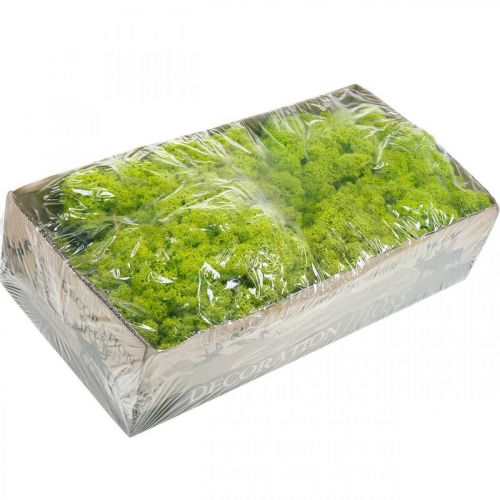 Product Deco moss light green reindeer moss preserved 400g