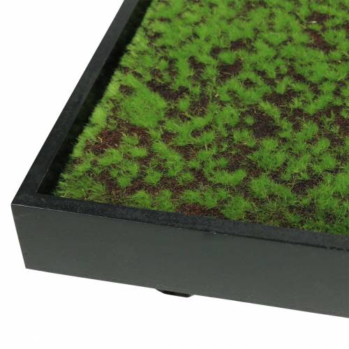 Product Mural moss in a green frame 60x30cm Wall decoration made of moss