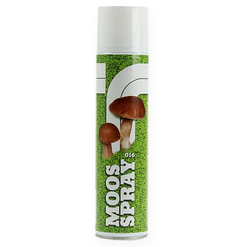 Floristik24 Moss Spray 400ml