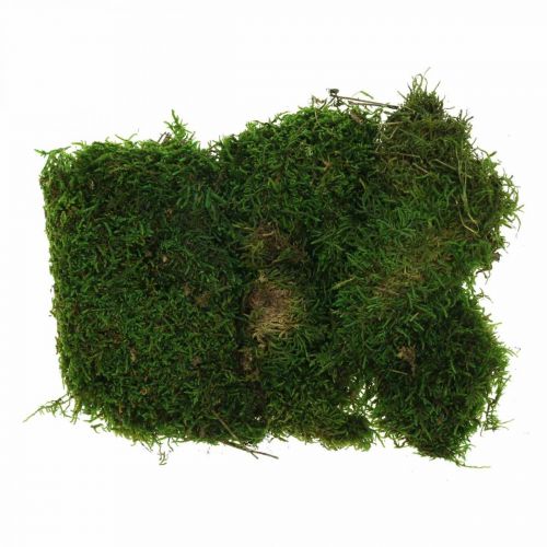 Decorative moss for handicrafts green, dark green 100g