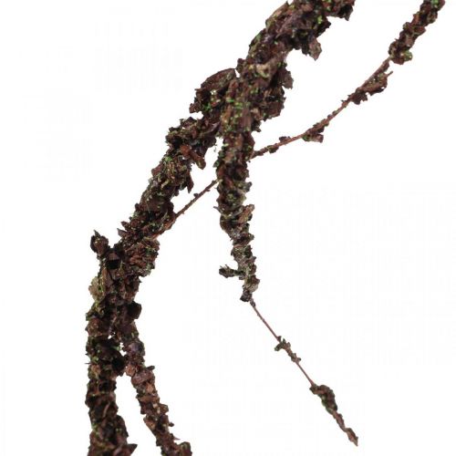Floristik24 Moss Garland Brown L180cm