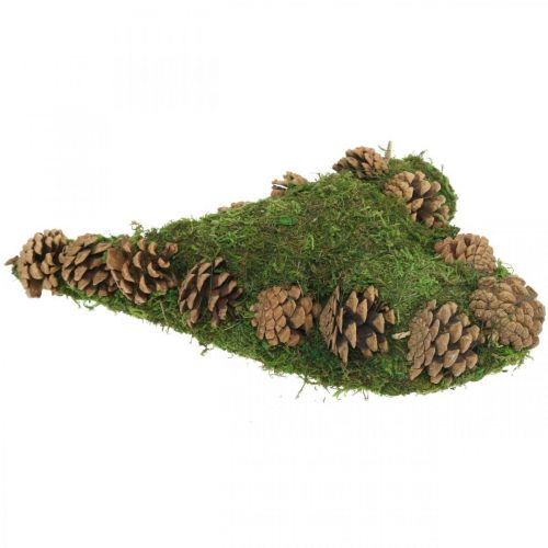 Floristik24 Grave decoration heart moss and cones arrangement base 30 × 19cm