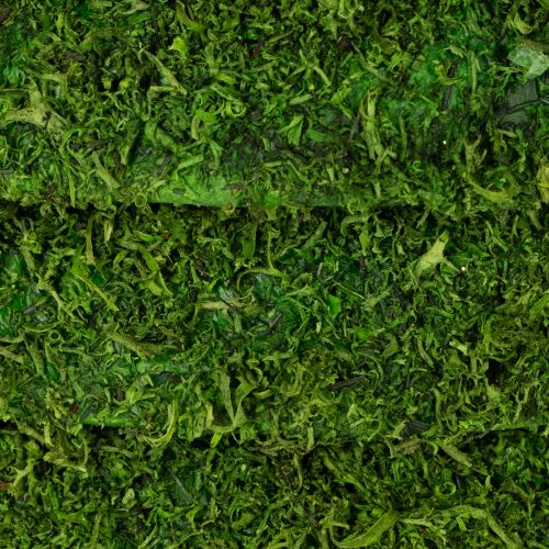 Product Decorative moss wreath for seasonal arrangements and individual design, 15cm, 6 pieces