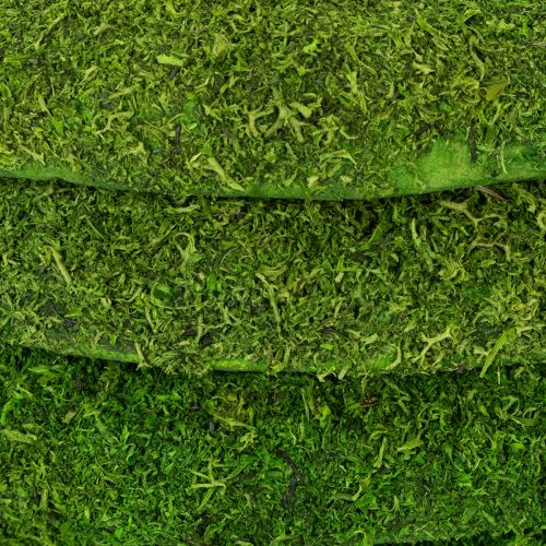 Product Moss wreath as a versatile base for creative floristry and decorating ideas, 20cm, 4 pieces