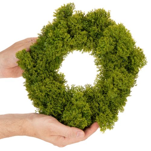 Artificial Green Moss Wreath for Table or Door Decoration 28cm | Floristik24.co.uk