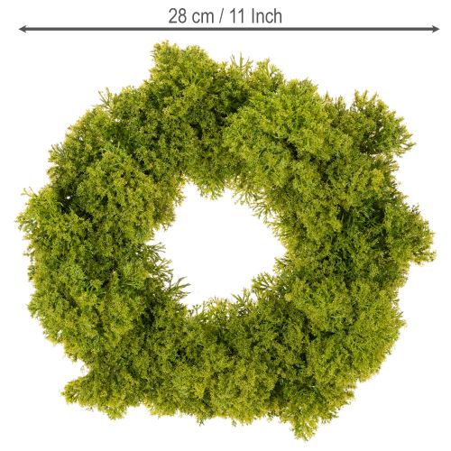 Artificial Green Moss Wreath for Table or Door Decoration 28cm | Floristik24.co.uk