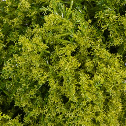 Artificial Green Moss Wreath for Table or Door Decoration 28cm | Floristik24.co.uk