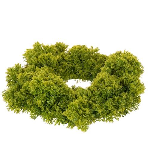 Artificial Green Moss Wreath for Table or Door Decoration 28cm | Floristik24.co.uk