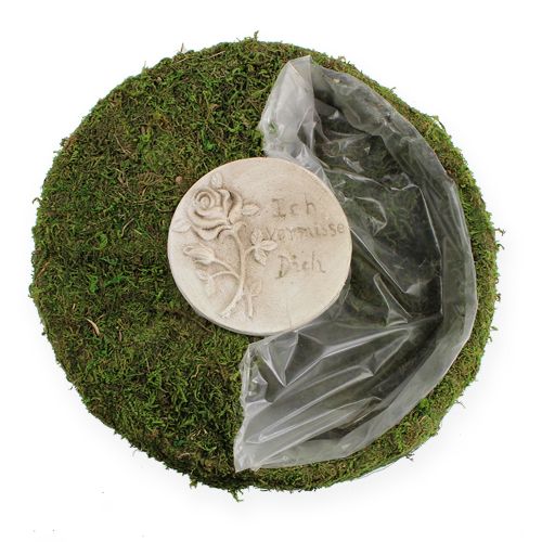 Floristik24 Moss wreath Ø 30cm with planting hole