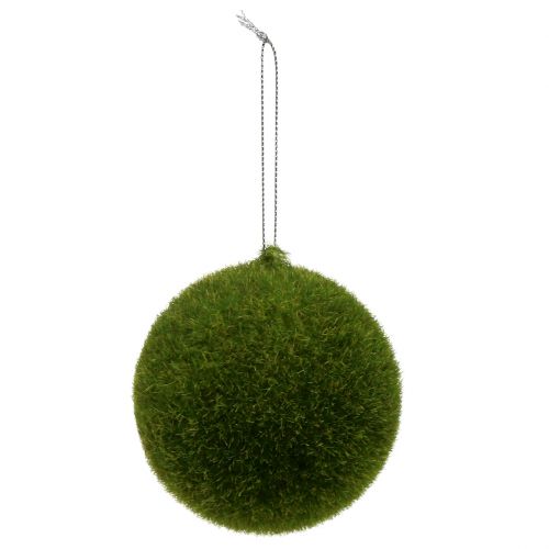 Floristik24 Moss ball Ø6cm green 12pcs