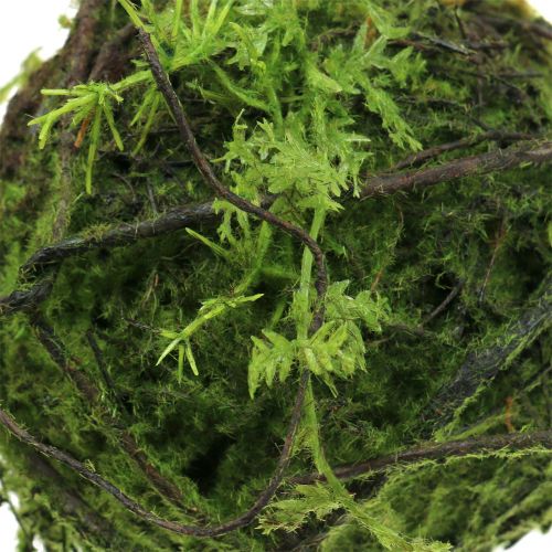 Floristik24 Moss ball Kokedama artificial green Ø13cm