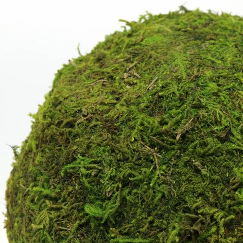 Floristik24 Moss ball Ø20cm