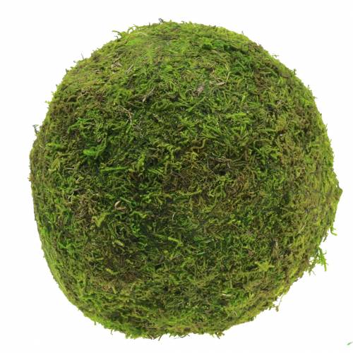 Floristik24 Moss ball Ø20cm