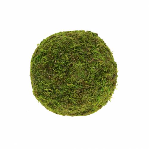Floristik24 Moss ball Ø9cm 6pcs