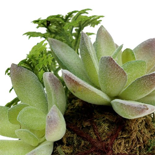 Floristik24 Kokedama Artificial Green Ø8cm