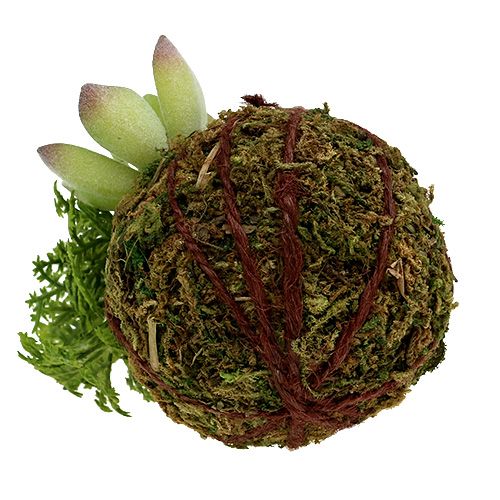 Floristik24 Kokedama Artificial Green Ø8cm