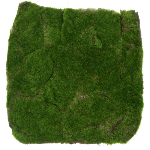 Product Moss Mat Green 35cm x 35cm