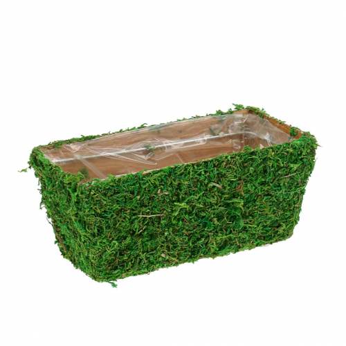 Floristik24 Planter Moss Green 20×10cm H9cm