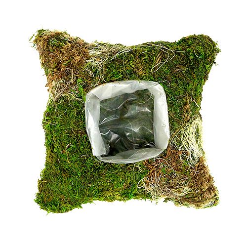 Floristik24 Moss cushion for planting 20cm x 20cm 3pcs