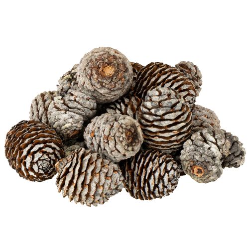 Product Murii Cones Natural 500g