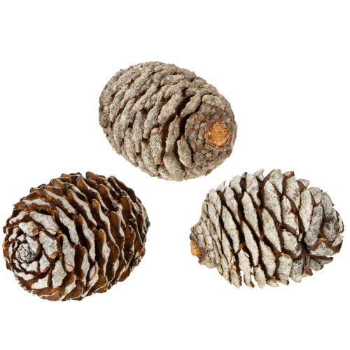 Product Murii Cones Natural 500g