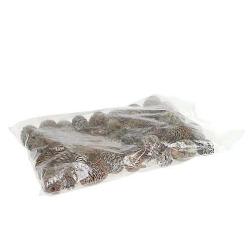 Floristik24 Murii Cones Natural 500g