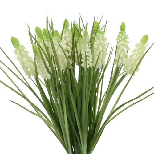 Product Grape Hyacinths in Bunch White 30cm 15 pcs