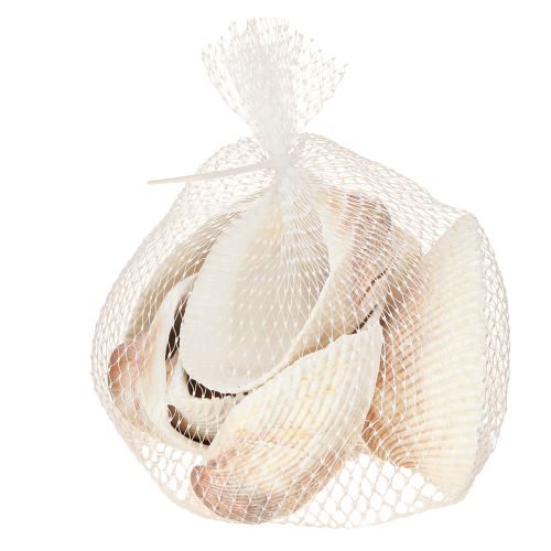 Product Shell decoration shells white brown cockles 5-7cm 300g