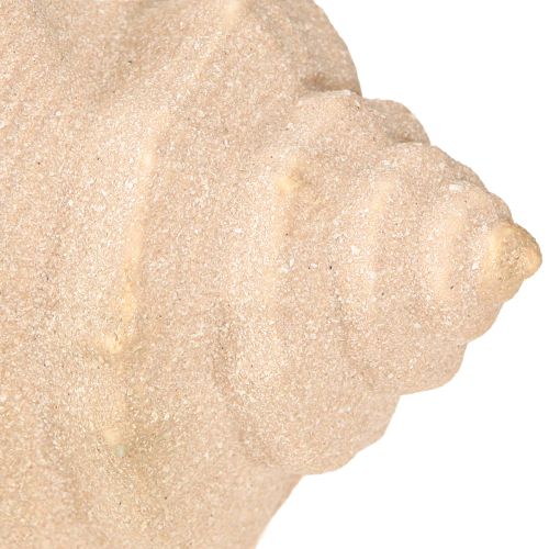 Product Shell Decoration Maritime Ceramic Blue Beige 16.5×11×9.5cm 2 pcs