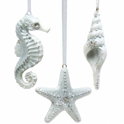 Floristik24 Shell/starfish/seahorse for hanging 3 pcs