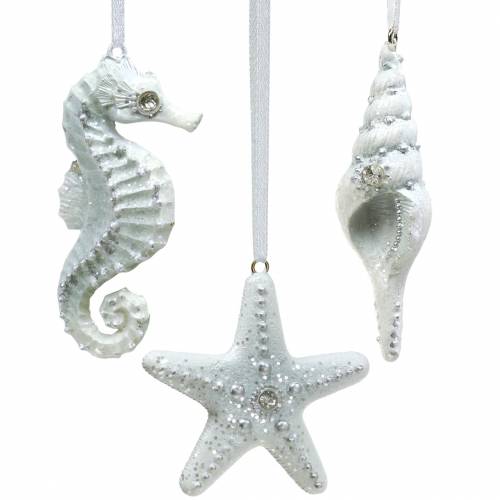 Floristik24 Christmas Tree Decoration Shell / Starfish / Seahorse 3pcs