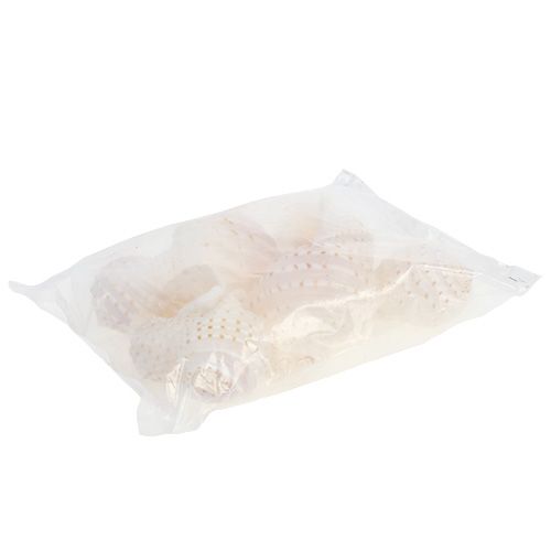 Product Mussel Tonna Tessalata 7 pcs