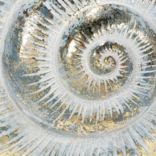 Product Decorative snail-shaped container for maritime and natural wall design, grey, 21cm