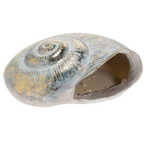 Product Decorative snail-shaped container for maritime and natural wall design, grey, 21cm