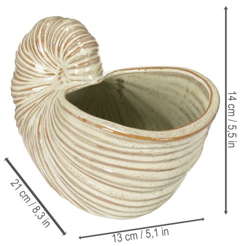 Product Ceramic flower pot with snail design for special plant arrangements, 21cm