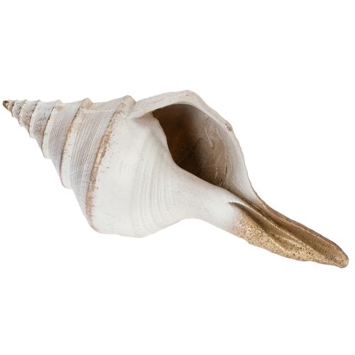 Decorative seashell shape for stylish maritime decoration, 44cm