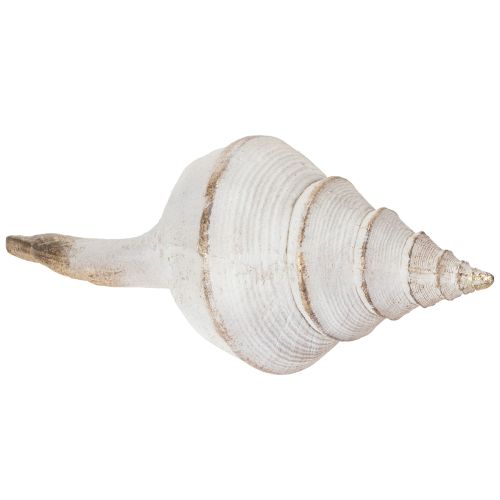 Product Decorative seashell shape for stylish maritime decoration, 44cm