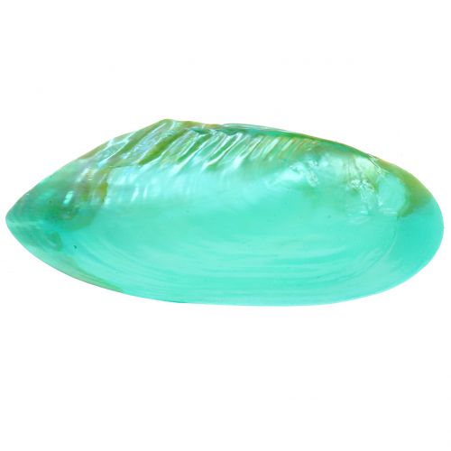 Floristik24 Shell for decoration green 18cm