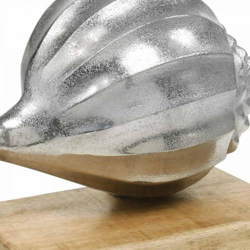 Product Shell made of metal, maritime decoration to place silver, natural colors H15cm W18.5cm