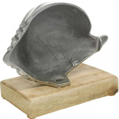 Product Shell made of metal, maritime decoration to place silver, natural colors H15cm W18.5cm