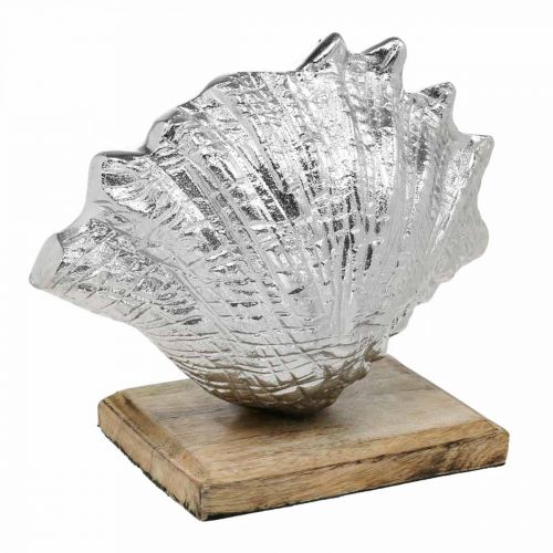 Product Shell to set up, maritime metal decoration with wooden base silver, natural 16 × 19cm