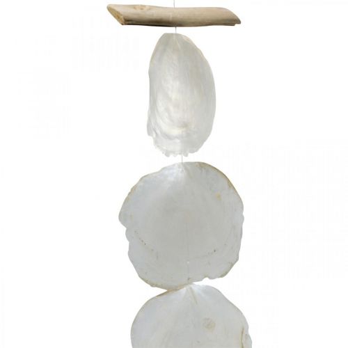 Floristik24 Shell Garland Mother of Pearl Shell Garland Capiz 195cm