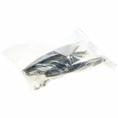Floristik24 Pen shells black 24 – 30cm 1kg