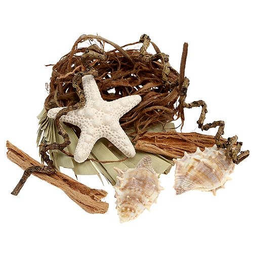 Floristik24 Shell and starfish mix for handicrafts 150g