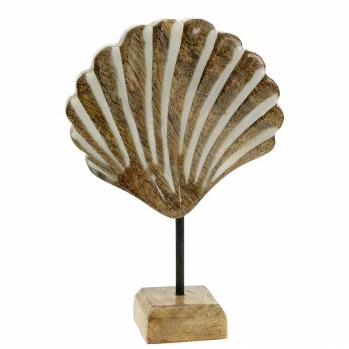Shell with base wood white, nature 20 × 14cm Maritime decoration for the living room